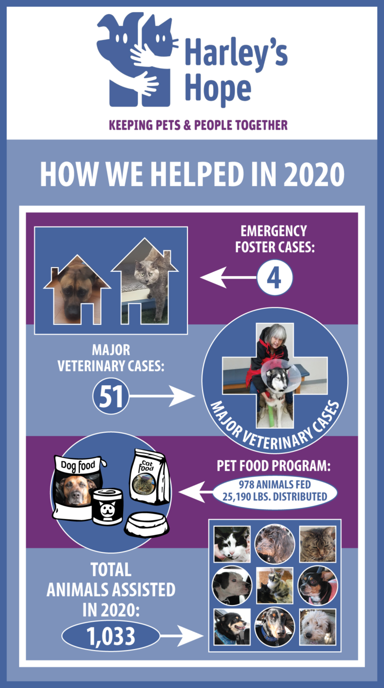 About Us Harley's Hope Foundation